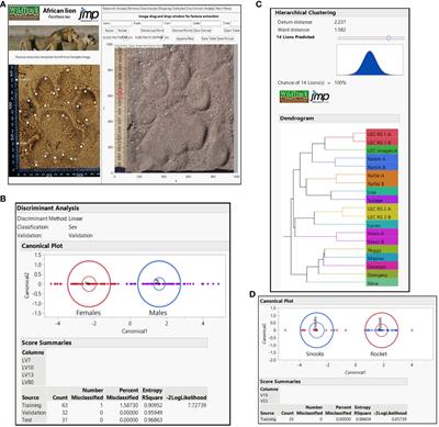 The crossroads of tradition and modern technology: integrative approaches to studying carnivores in low density ecosystems